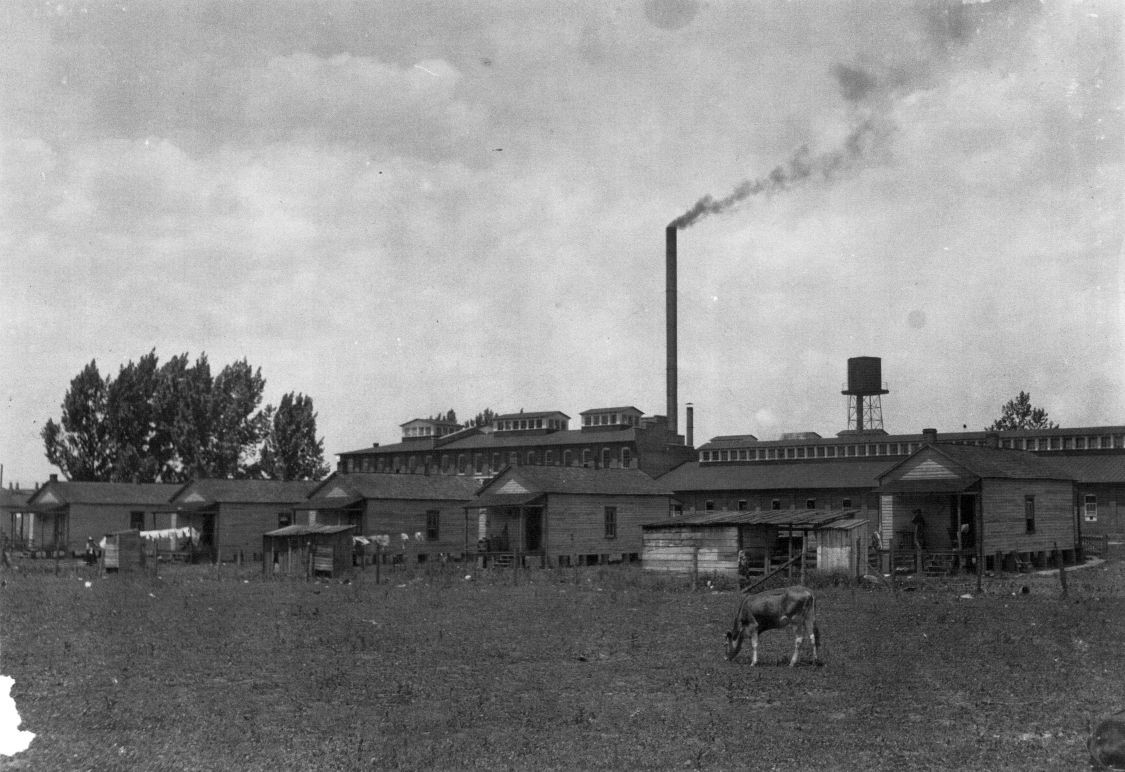 discover0025 cottonshacks